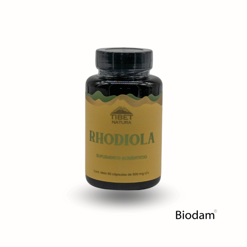 RHODIOLA 500 mg 60 caps TIBET