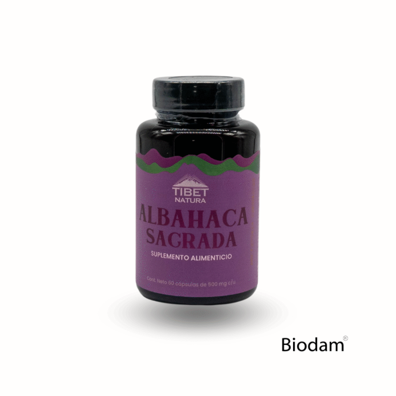 ALBAHACA SAGRADA 500 mg 60 caps TIBET