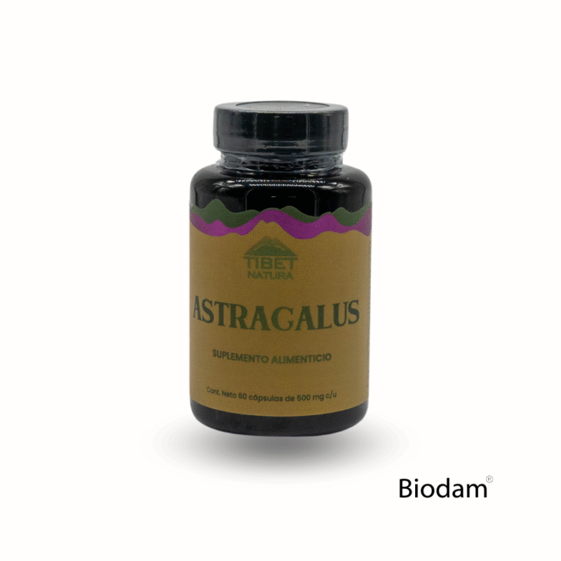 ASTRAGALUS 500 mg 60 caps TIBET