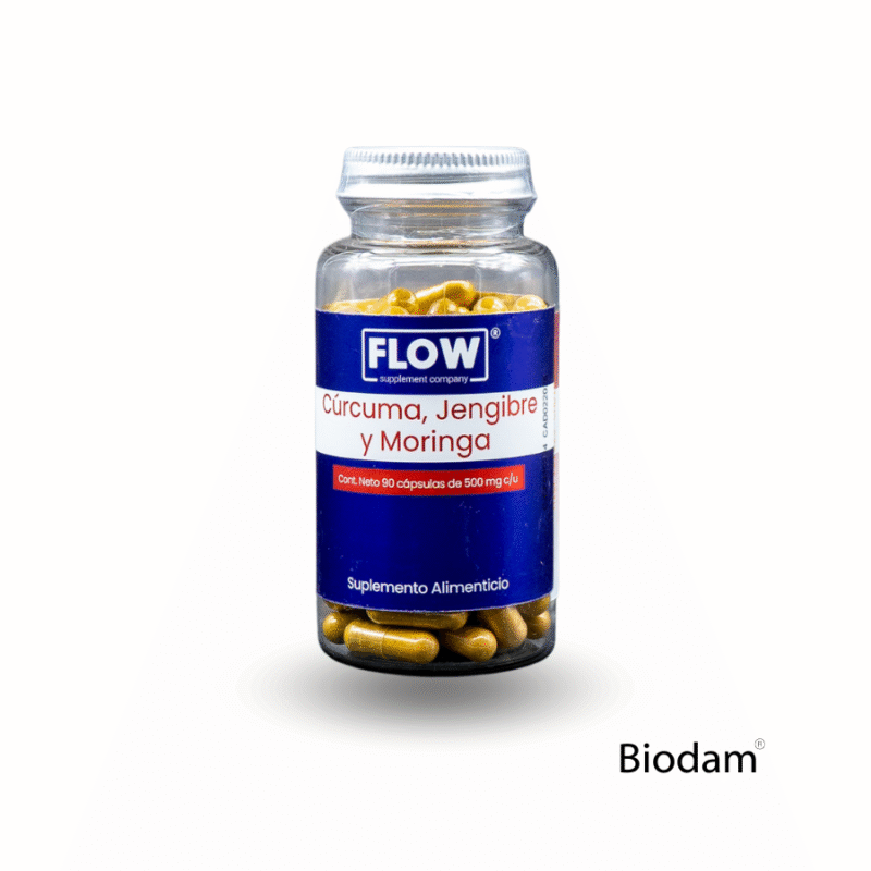 CÚRCUMA MORINGA JENGIBRE 500 mg 90 caps